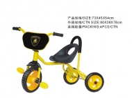 219796 Baby Tricycle